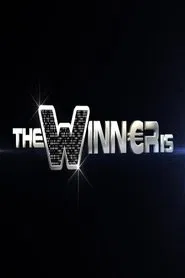 The Winner Is... tv show poster