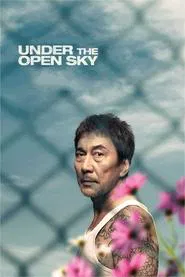 Poster do filme Sob o Céu Aberto