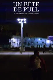 Un Bête de Pull movie poster