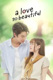 A Love So Beautiful tv show poster