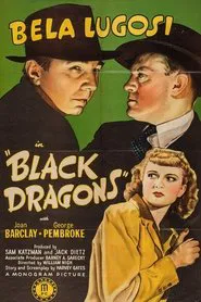 Black Dragons movie poster
