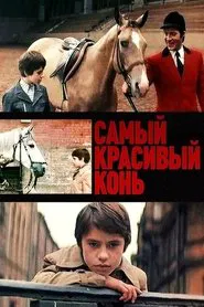 The Most Beautiful Horse movie poster