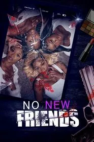 No New Friends movie poster