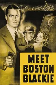 Meet Boston Blackie movie poster