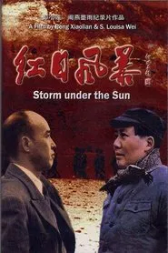 Storm Under the Sun movie poster
