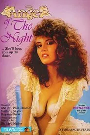 Poster do filme Angel of the Night