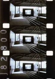 Diminished Frame movie poster