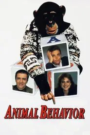 Poster do filme Uma Pesquisa Romântica