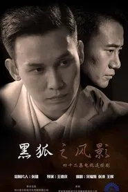 黑狐之风影 tv show poster