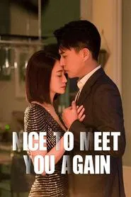 Nice To Meet You Again tv show poster