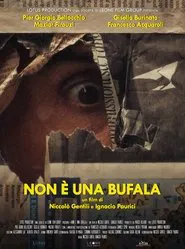 Non è una bufala movie poster