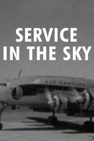 Eye Witness: Service in the Sky movie poster