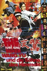 Fury of King Boxer movie poster