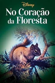 Poster do filme No Coração da Floresta