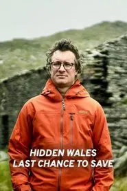 Poster do filme Hidden Wales: Last Chance to Save