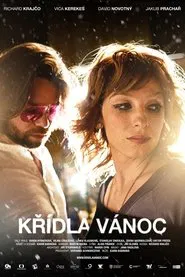 Poster do filme Wings of Christmas