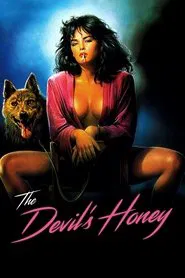 Poster do filme Divina Obsessão
