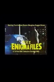 Poster da série The Enigma Files