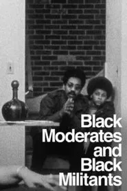 The Urban Crisis and the New Militants: Module 6 - Black Moderates and Black Militants movie poster