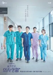 Poster da série 슬기로운 의사생활