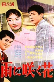 Flowers in the rain movie poster
