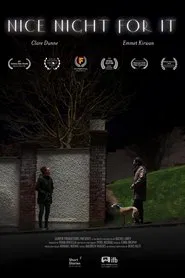 Nice Night for It movie poster