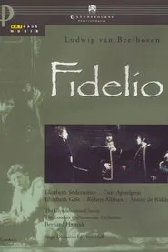 Fidelio movie poster