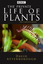 The Private Life of Plants tv show poster