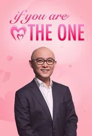 非诚勿扰 tv show poster