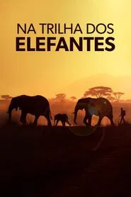 Poster da série Na Trilha dos Elefantes