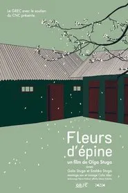 Poster do filme Blackthorn Blossom