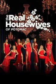 The Real Housewives of Potomac tv show poster