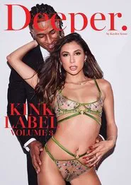 Kink Label 3 movie poster