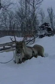 Niestebohcco njuovvan movie poster