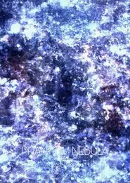 Poster do filme Phantom Nebula