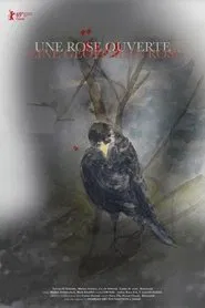 An Open Rose movie poster