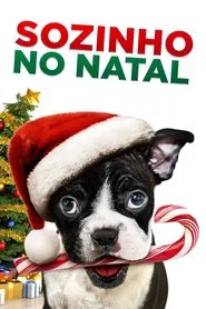 Poster do filme Sozinho no Natal