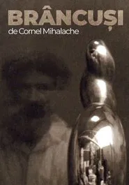 Brâncuși movie poster