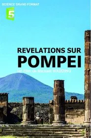 Poster do filme Révélations sur Pompéi