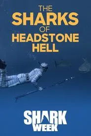 The Sharks Of Headstone Hell movie poster