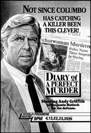 Diary of a Perfect Murder movie poster