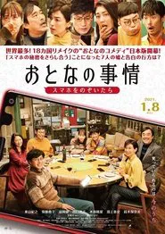 Adult's Situation movie poster