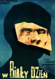In Broad Daylight movie poster