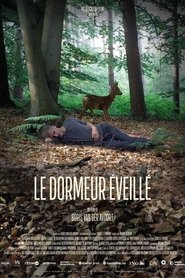The Wakeful Sleeper movie poster