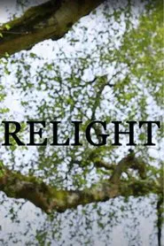 Relight movie poster