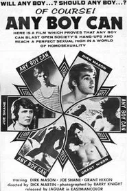Any Boy Can movie poster