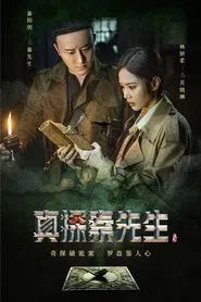 True Detective Mr. Qin tv show poster