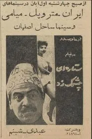 A Star Twinkled movie poster