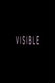Poster do filme Visible