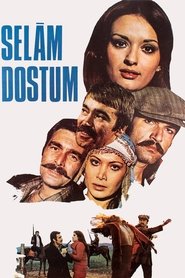 Selam Dostum movie poster
